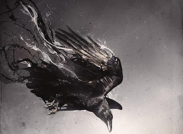 A artist rendition of a raven. Artist unknown. Please contact as I would like to credit you.