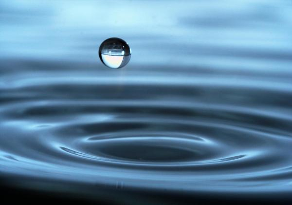 Ripple from a water drop. 