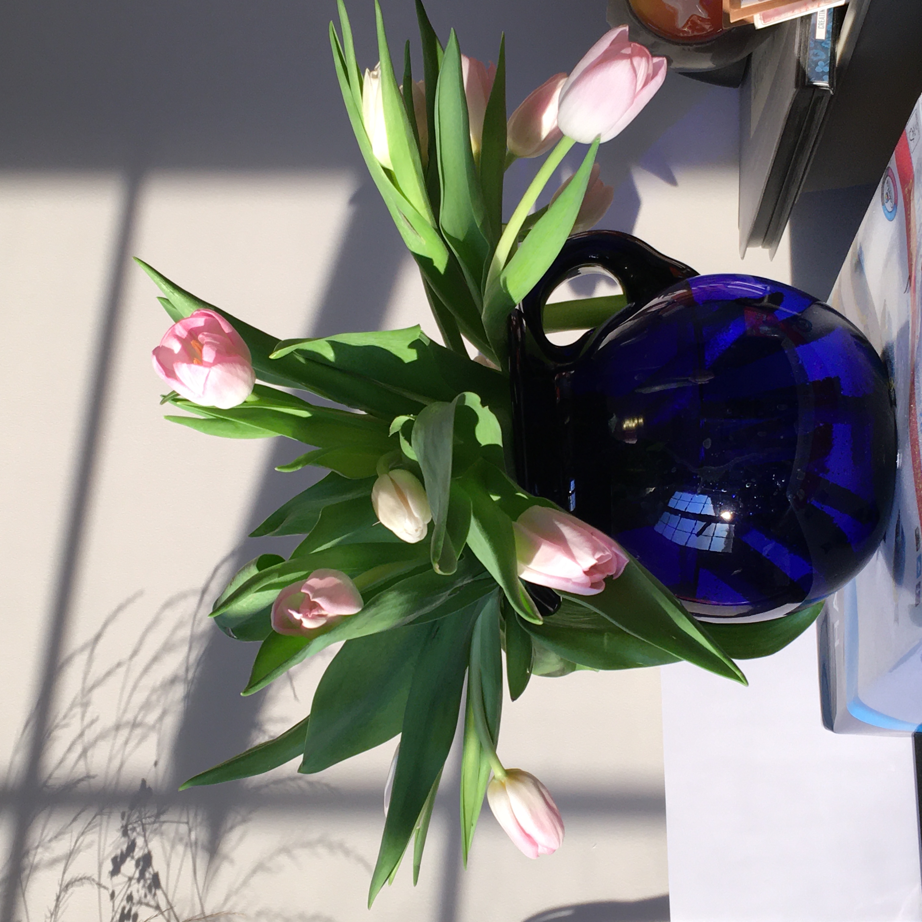 images/friends-home/2020-05-08tulips.jpg#joomlaImage://local-images/friends-home/2020-05-08tulips.jpg?width=3024&height=3024