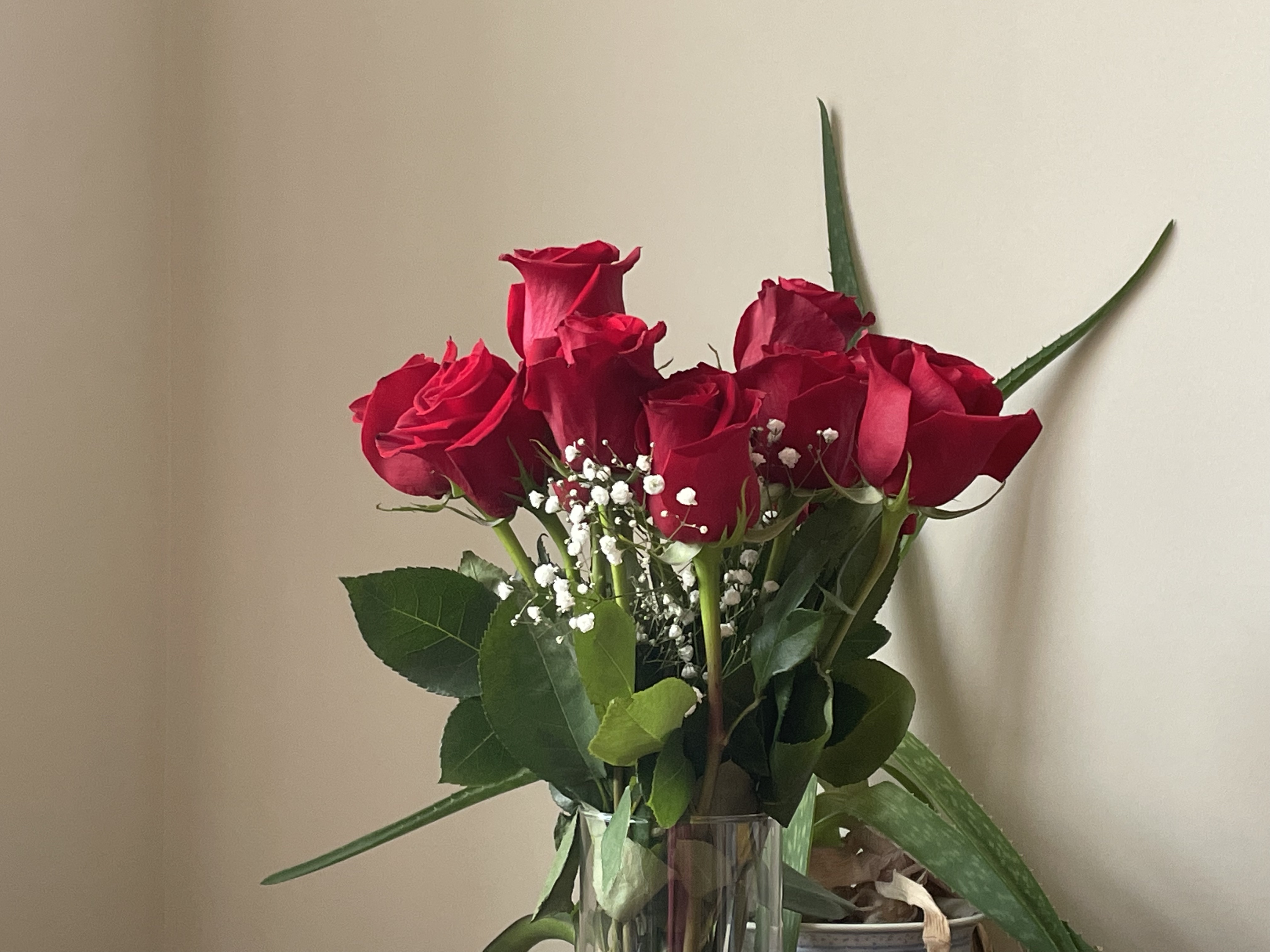 images/friends-home/BirthdayRoses22.jpg#joomlaImage://local-images/friends-home/BirthdayRoses22.jpg?width=4032&height=3024